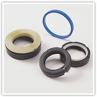 Power Steering Seals